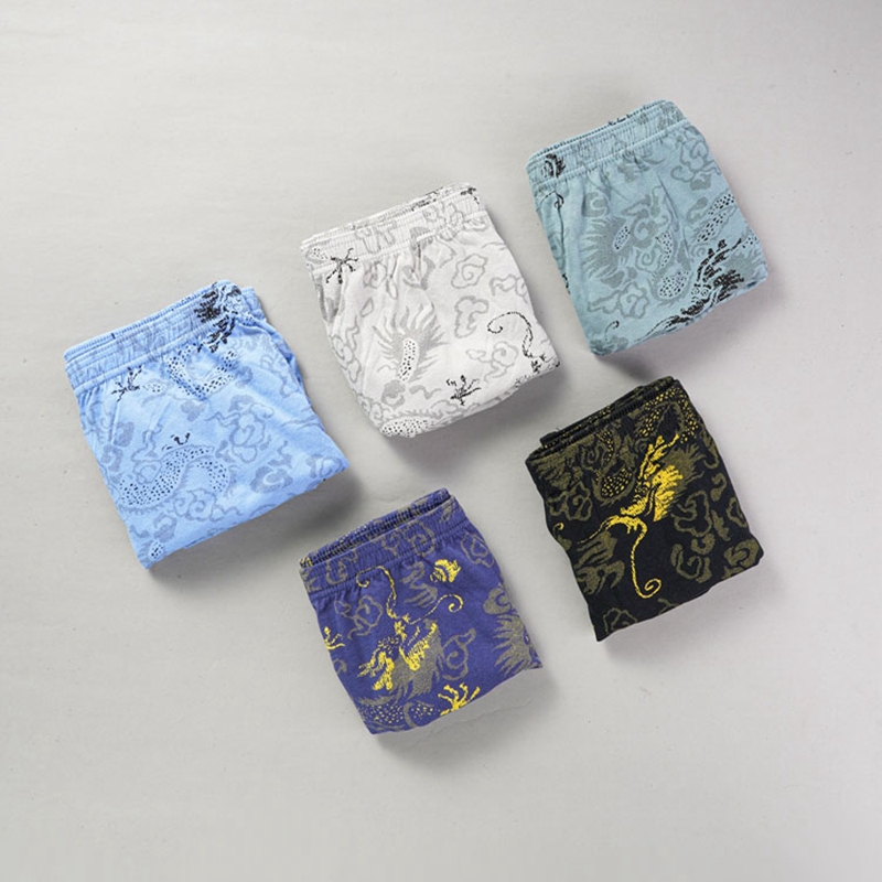 10 Pcs/Lot 100% Cotton Men's P - Multi Pack Underwear ulasan dan harga