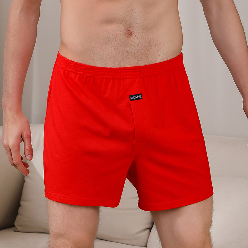 1PCS Men's Underwear Aro Pants - Boxer Brief Pack Cotton ulasan dan harga