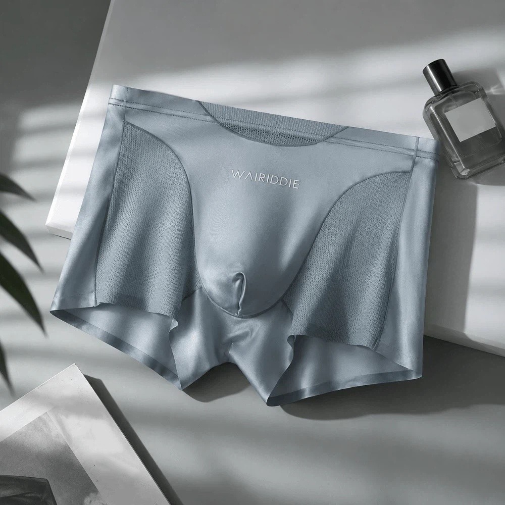 Simple Mesh Ice Silk Underwear - Mesh Sport Boxer ulasan dan harga